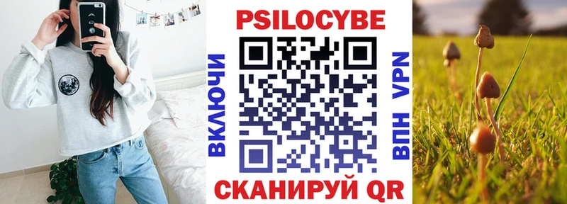 Галлюциногенные грибы прущие грибы  Печоры 